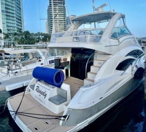 Cruiser Sport 48 Flybridge 8